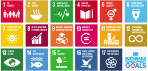 Sustainable Development Goals, SDG Goals