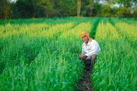 Empowering Farmers for Prosperity