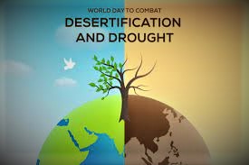  World Day to Combat Desertification and Drought