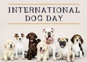 International Dog Day 