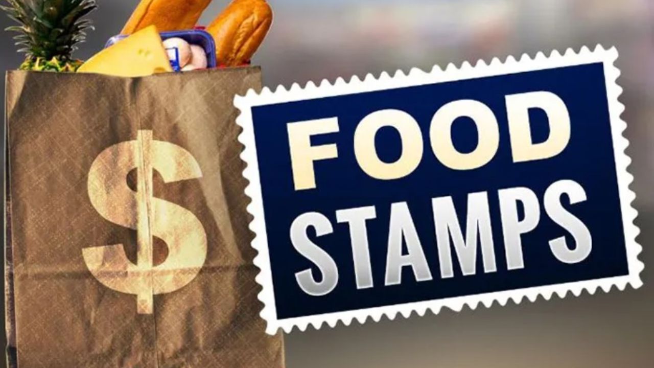 Missed Your Food Stamps Interview? What to Do When Applying for SNAP Benefits