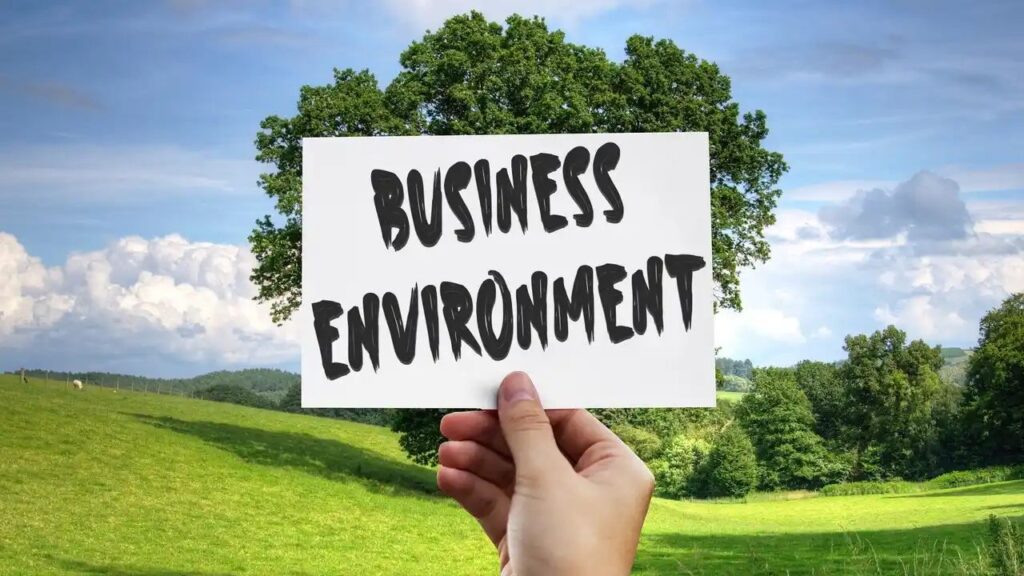 Business Environment Definition