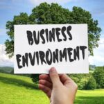 Business Environment Definition