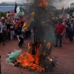 Pro-Palestine Protester Burned Down US Flags