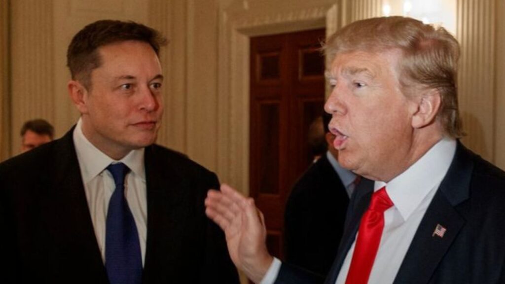 elon and trump