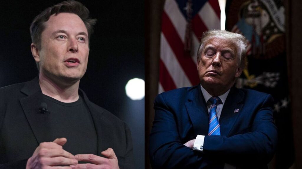 trump and musk