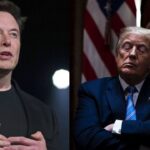 trump and musk